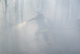 Pożar lasu w Janikowie - zagrożone 9 hektarów! 