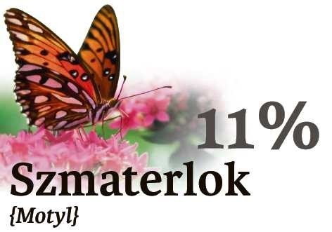 4. Szmaterlok (motyl)...