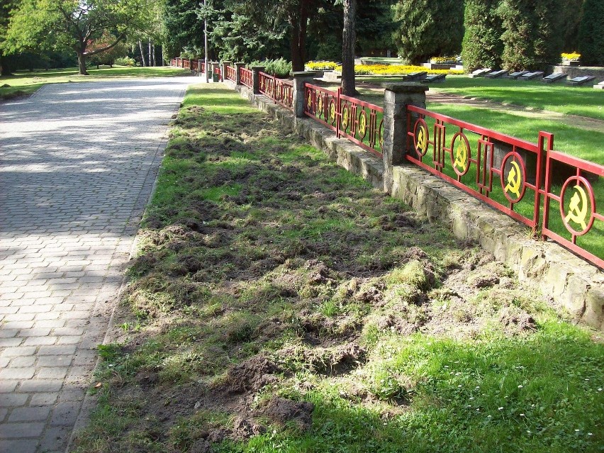 Katowice: Wielka demolka w Parku Kościuszki. Winne dziki [ZDJĘCIA]