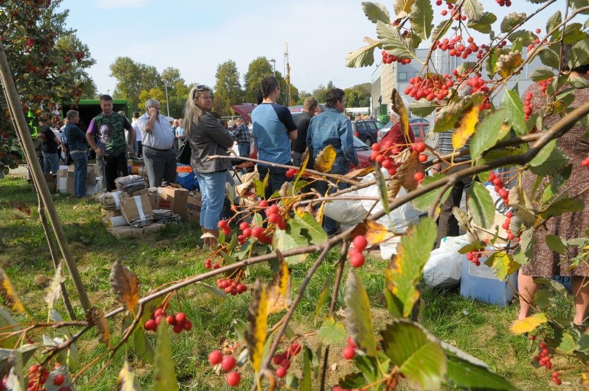 Lublin: Sadzonki drzewek za makulaturę (WIDEO,ZDJĘCIA)