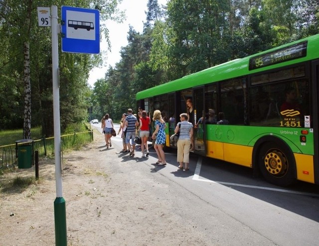 Autobus 46 będzie dojeżdżał nad samo jezioro Strzeszyńskie,