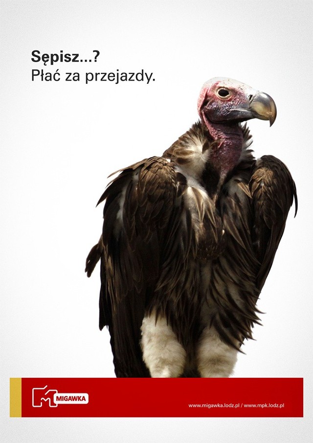 Plakaty z wężem, sępem i kotem zachęcają do płacenia za przejazdy MPK w Łodzi.