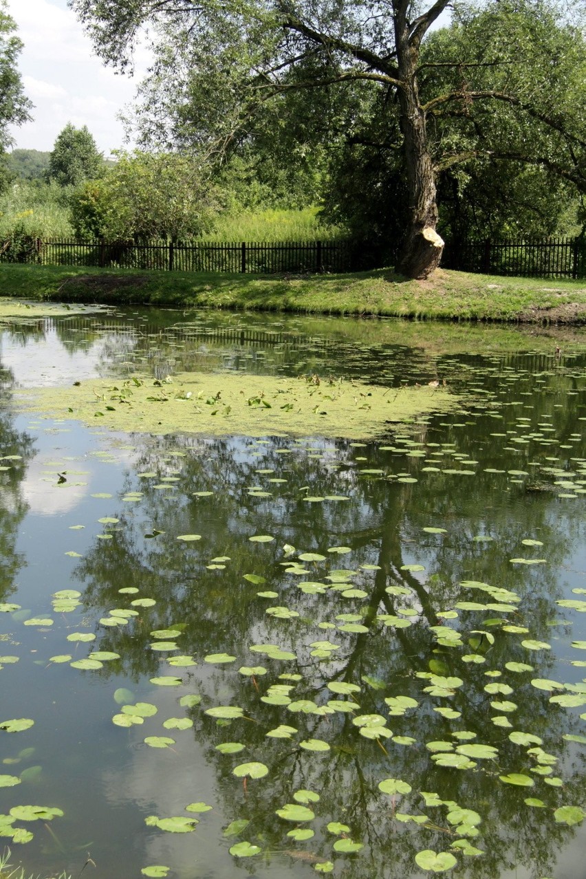 Ogród Botaniczny UMCS smutny i zapuszczony (FOTO)