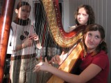 Dźwięki tajemniczych harf w Porcie Łódź