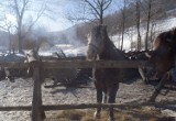 Górale ze Szczyrku boją się, że w okolicy grasuje piroman