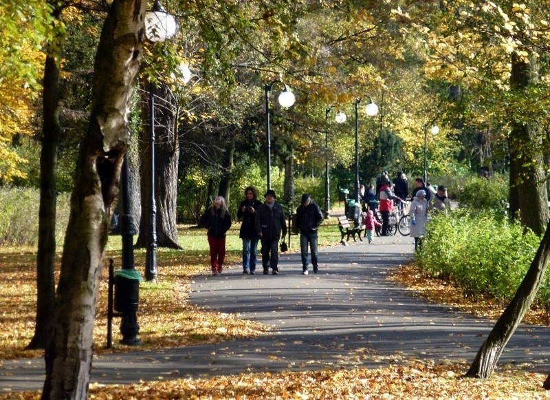 Już przymrozki i śnieg... Za taką jesienią będziemy wkrótce tęsknić. Zobacz! [ZDJĘCIA]