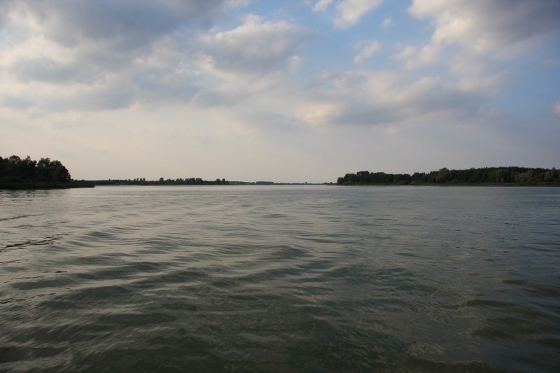 Nadgoplański Park Tysiąclecia.