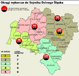 Wybory: Po co startują NOP i Śląsk Wrocław?