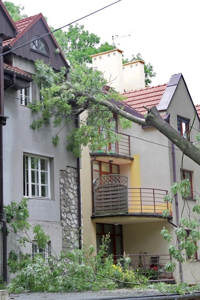 Drzewo spadło na dach kamienicy w centrum Krakowa [ZDJĘCIA]