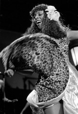Królowa disco Donna Summer nie żyje 