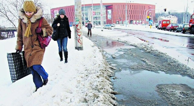 Po Alejach Zygmuntowskich chodzi się jak po polu