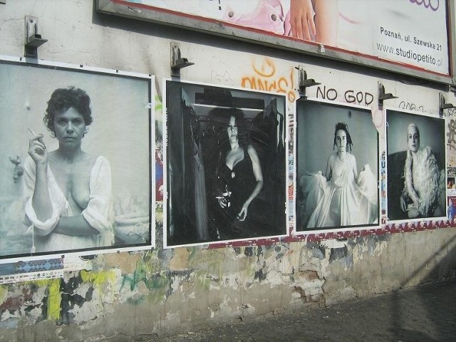 Zdjęcia na ścianach na ul. Mostowej