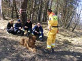 Biedrusko: Strażackie psy zdawały egzamin na poligonie. Film