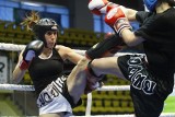 Świebodzice: Mistrzostwa Polski w kick-boxingu (Zdjęcia)