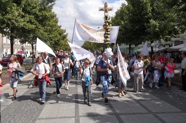 Pielgrzymka Diecezji Sosnowieckiej na Jasną Górę w pełnym słońcu! [ZDJĘCIA]