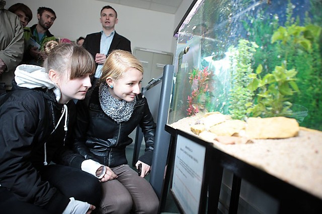 Zwiedzający stację uzdatniania łódzkiego ZWiK podziwiali zwierzęta i urządzenia strzegące jakości wody.