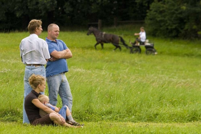 Książ: Próba dzielności koni. ZDJĘCIA