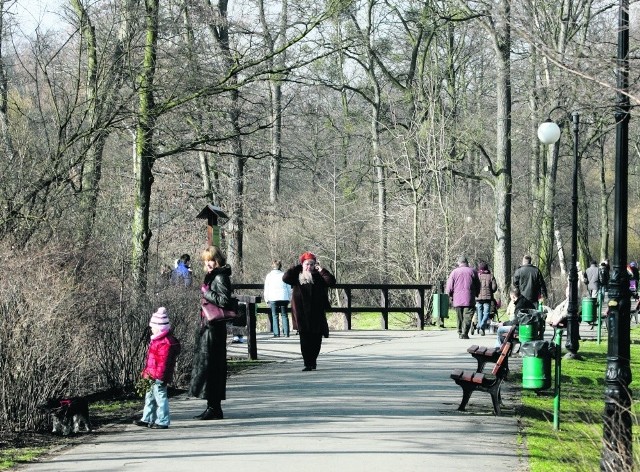Park Sołacki to popularne miejsce spacerów. Czy deweloperzy zmienią dzielnicę?