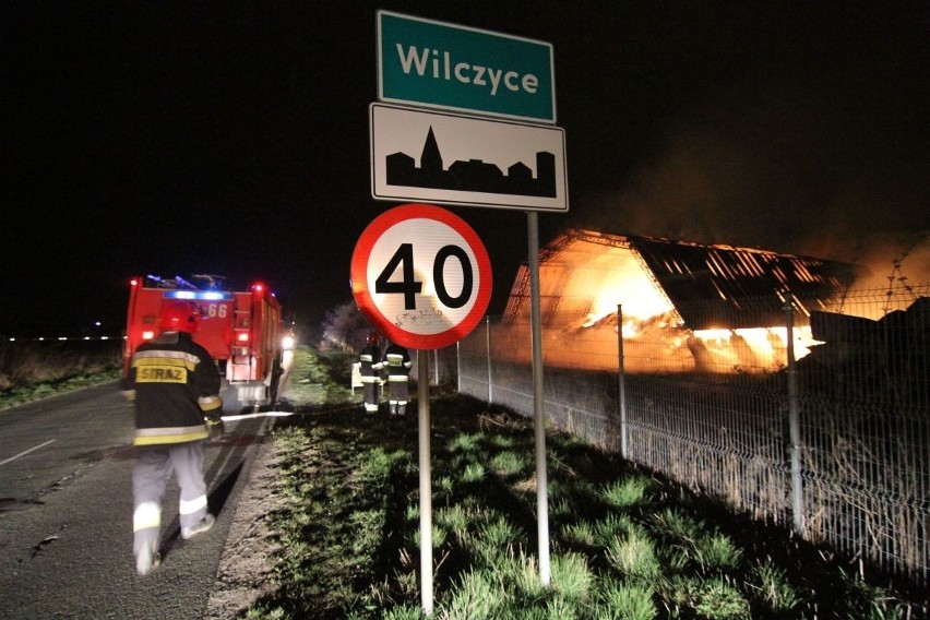 Pożar hali w Wilczycach koło Wrocławia (GALERIA)