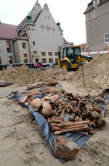 Poznań: Kości ludzkie znaleziono przy Wieniawskiego. To szczątki żołnierzy z czasów wojny [ZDJĘCIA]