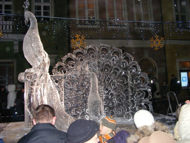 Lodowe  rzeźby będzie można podziwiać na Starym Rynku przez kilka najbliższych dni