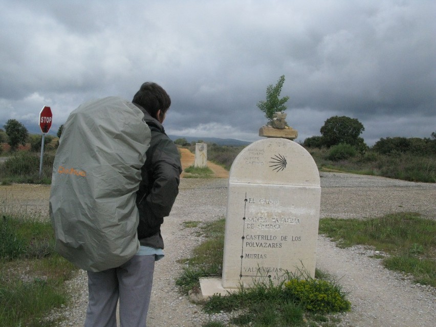 Camino, jeden z drogowskazów na szlaku