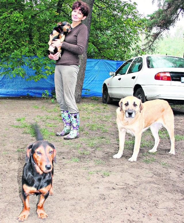 Magdalena Nieduziak ma 22 zwierzaki. W miesiącu na ich utrzymanie wydaje 1000 złotych