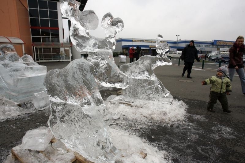 Legnica: Rzeźby z lodu przed hipermarketem Auchan