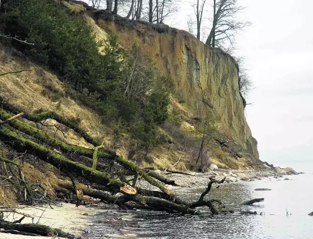 Obowiązuje zakaz wchodzenia na klif redłowski