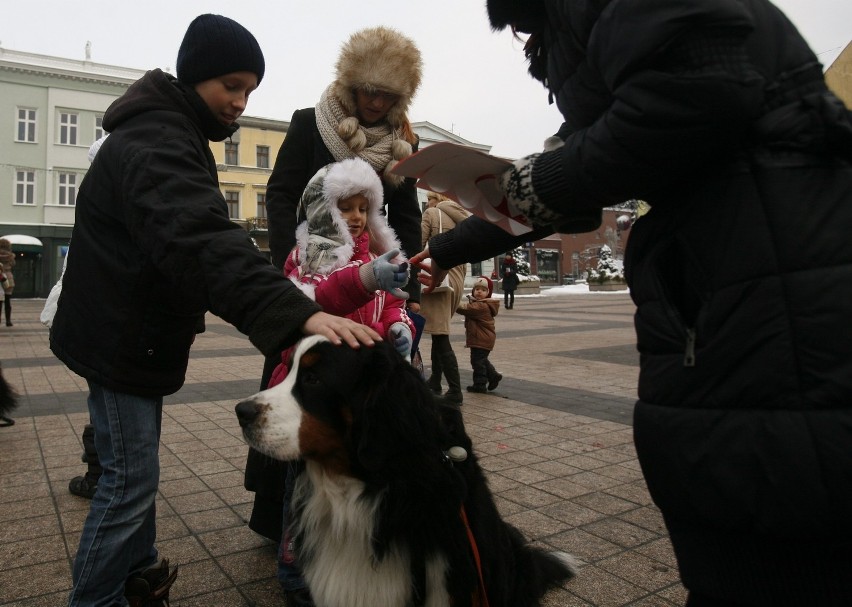 WOŚP w Rybniku w obiektywie Mikołaja Suchana [ODSZUKAJ SIĘ NA ZDJĘCIACH]