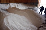 Na liście Sanepidu znalazły się firmy, w których nie było soli przemysłowej 