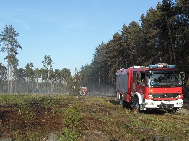 Pożar lasu pod Częstochową