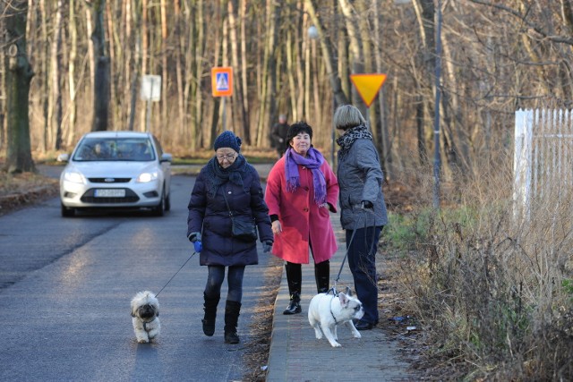 Mieszkańcy osiedla boją się wychodzić z psami na spacery