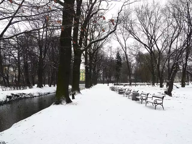 Usytuowany w centrum park im. Słowackiego jest zaniedbany. Dlatego miasto chce skorzystać z propozycji, jaką złożyła fundacja.