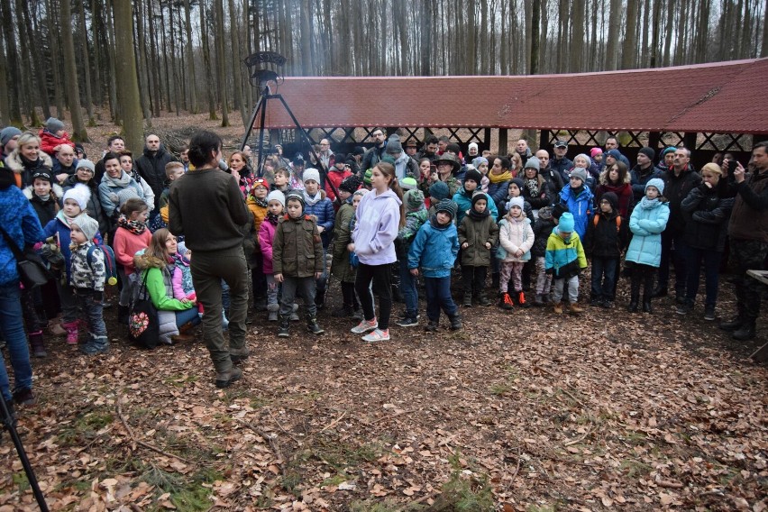 Co w lesie huczy? Leśnicy ze Szczecinka zapraszają na spotkanie z sowami [zdjęcia]