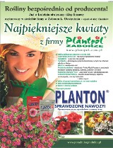 Firma Plantpol