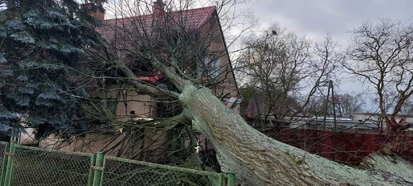 17 stycznia nad powiatem goleniowskim mocno wiało