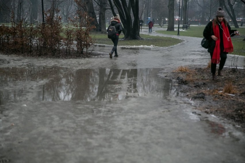 Tak wyglądał park Krakowski w poniedziałek. „Ale to jest...