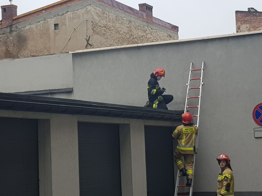 Straż pożarna w Kaliszu ratowała... kocią rodzinę. ZDJĘCIA