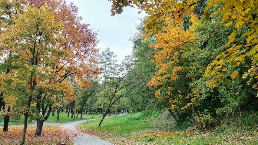 Park Grabek w Czeladzi zaprasza na jesienne spacery...