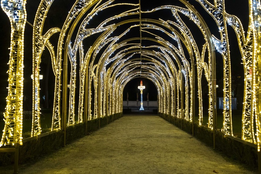 Królewski Ogród Światła 2021 wystartował. Świetlisty tunel, karuzela i ogród króla. Magiczna instalacja zachwyciła warszawiaków