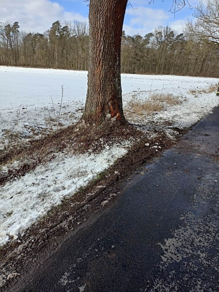 Wypadek pod Łobżenicą. Osobówka uderzyła w drzewo [ZDJĘCIA]