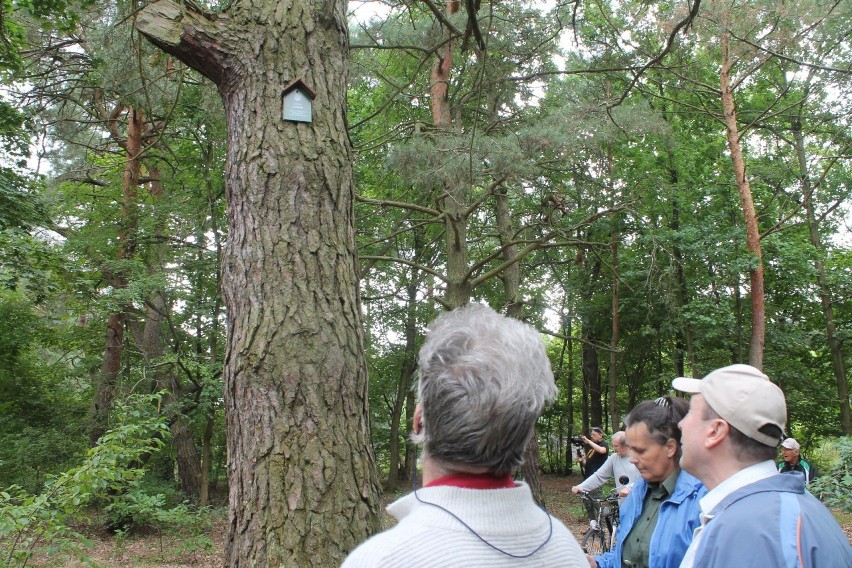 Goście oglądali m.in. drzewa, które z inicjatywy mieszkańców...