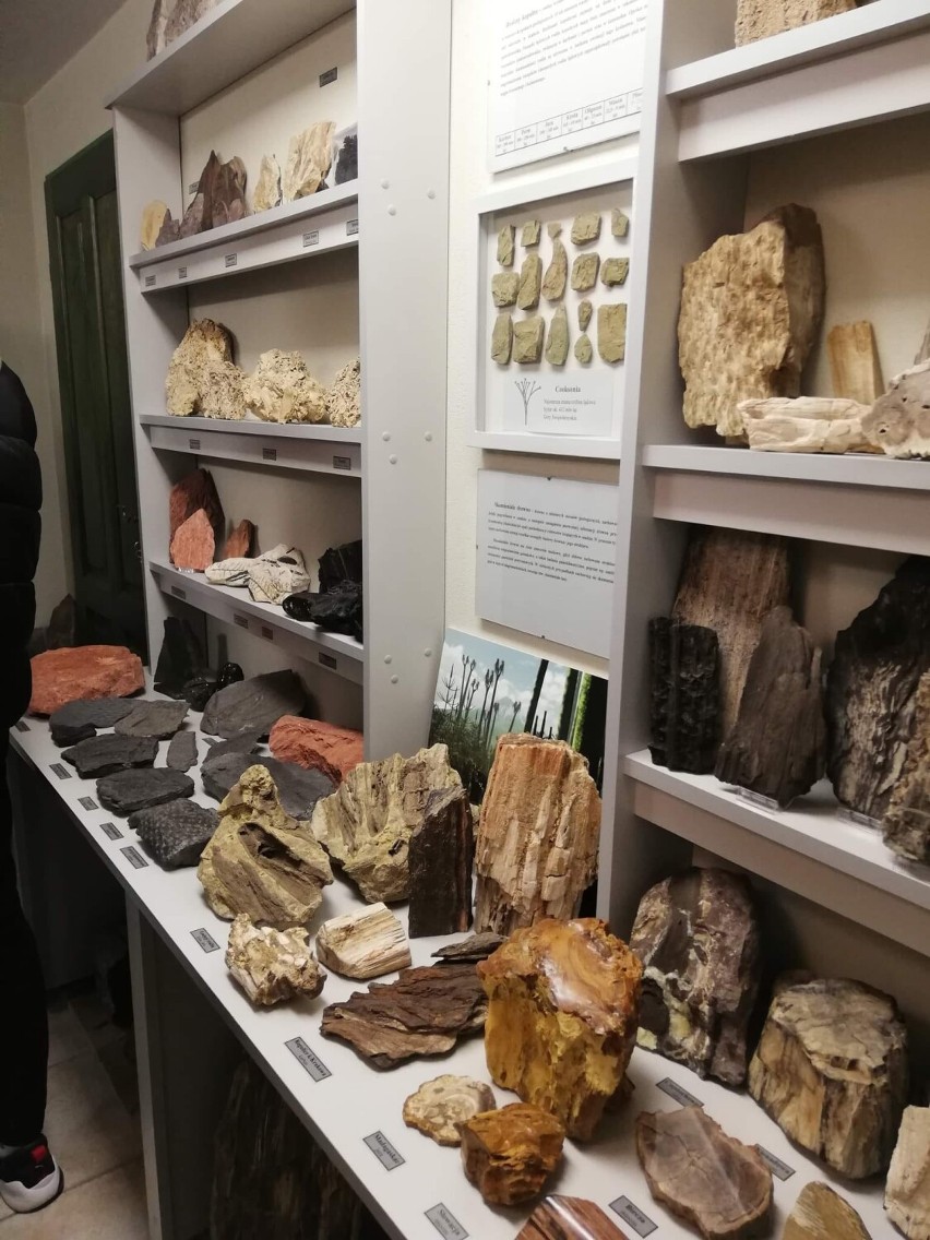 Wizyta w Muzeum Skamieniałości i Minerałów w Dubiecku.