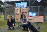 Pomoc od Fundacji Warto Pomagać z Torunia dla schroniska dla zwierząt w Radomsku [ZDJĘCIA]