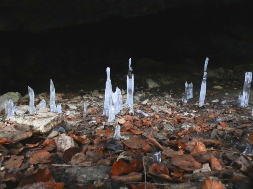 Piękne lodowate stalagmity zdobią jaskinię już u jej...