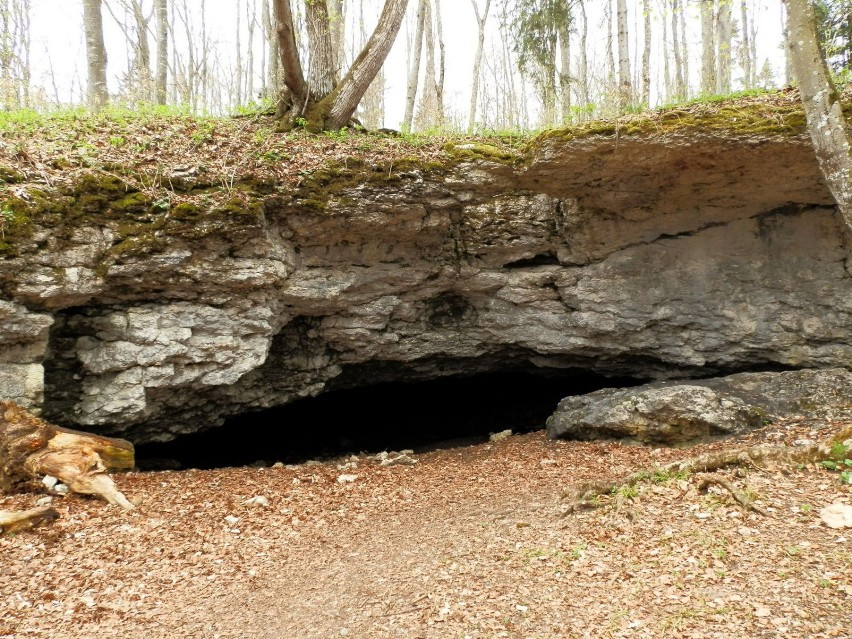 To samo wejście do jaskini Heidensteinhöhle - wiosenną porą....