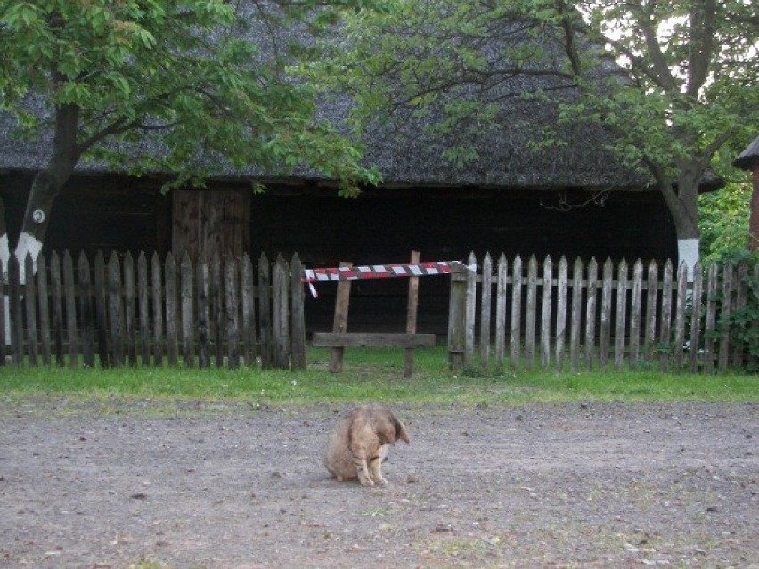 Noc Muzeów w Koninie 2014