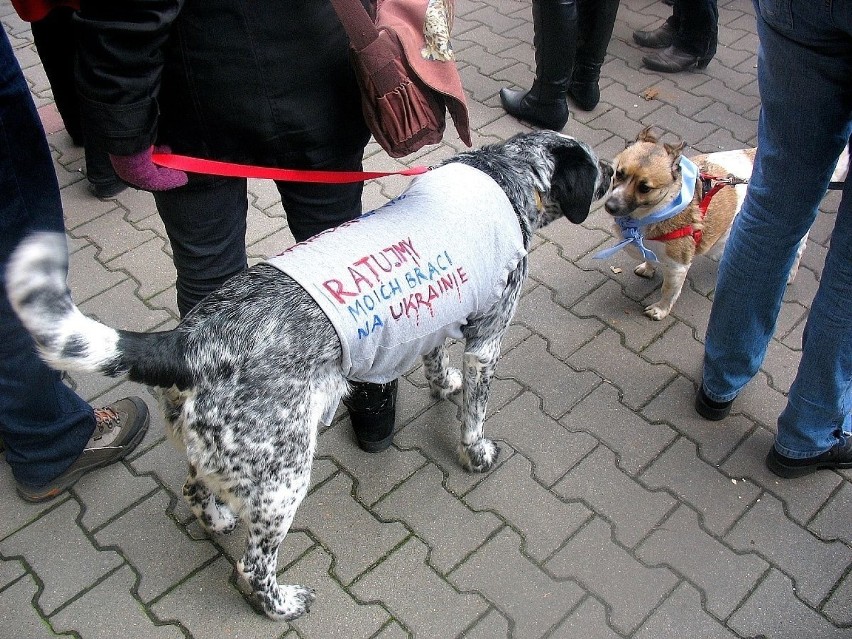 Na 13 i 14 stycznia zaplanowano protesty w wielu...