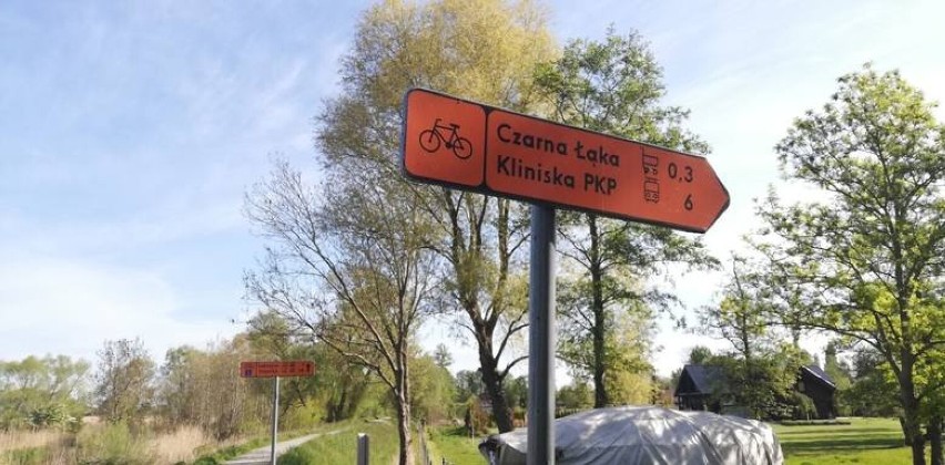 Wreszcie dokończą ścieżkę rowerową pomiędzy Lubczyną a Dąbiem. Umowa podpisana